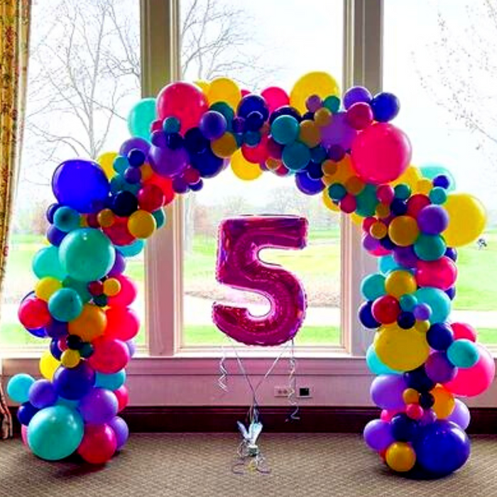 Indoor Organic Full Balloon Arch