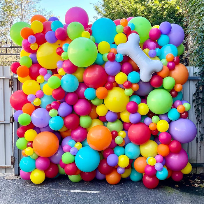 "Fetch" Corporate Promo Puppy Balloon Wall 8x8