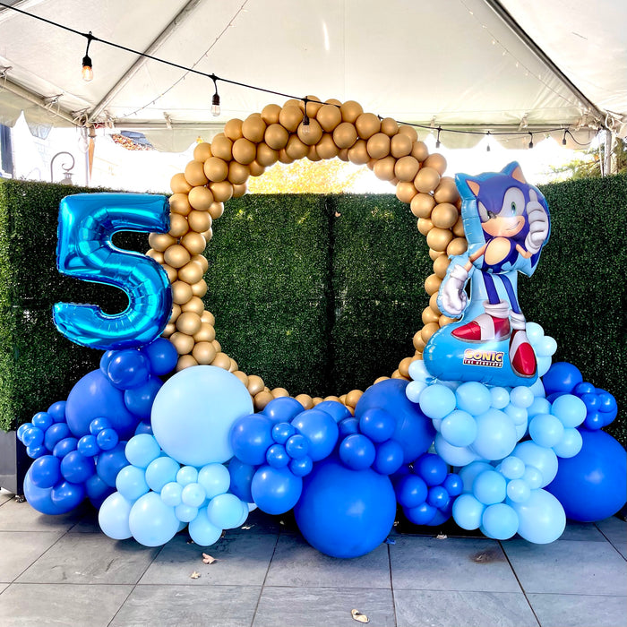Sonic Themed Children's 5th Birthday Table Centerpieces, Photo Op, Bouquets