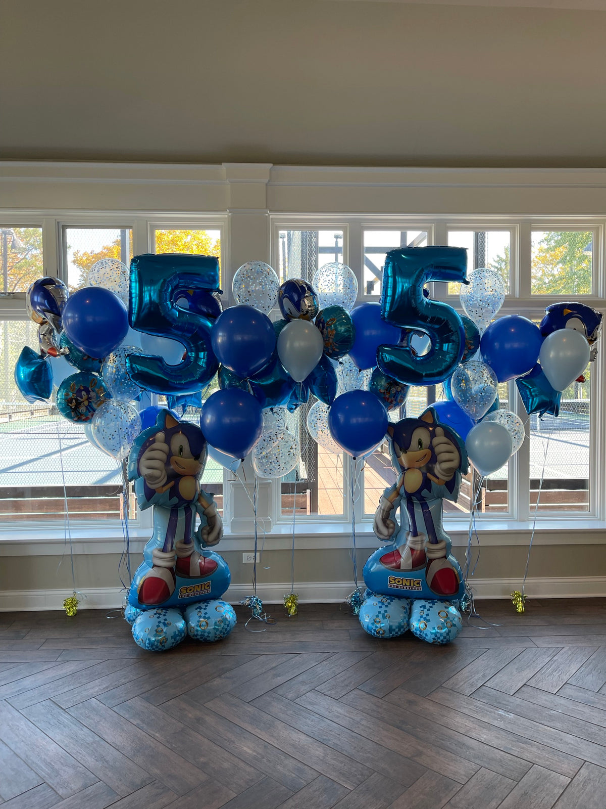 Sonic Themed Children's 5th Birthday Table Centerpieces, Photo Op, Bouquets
