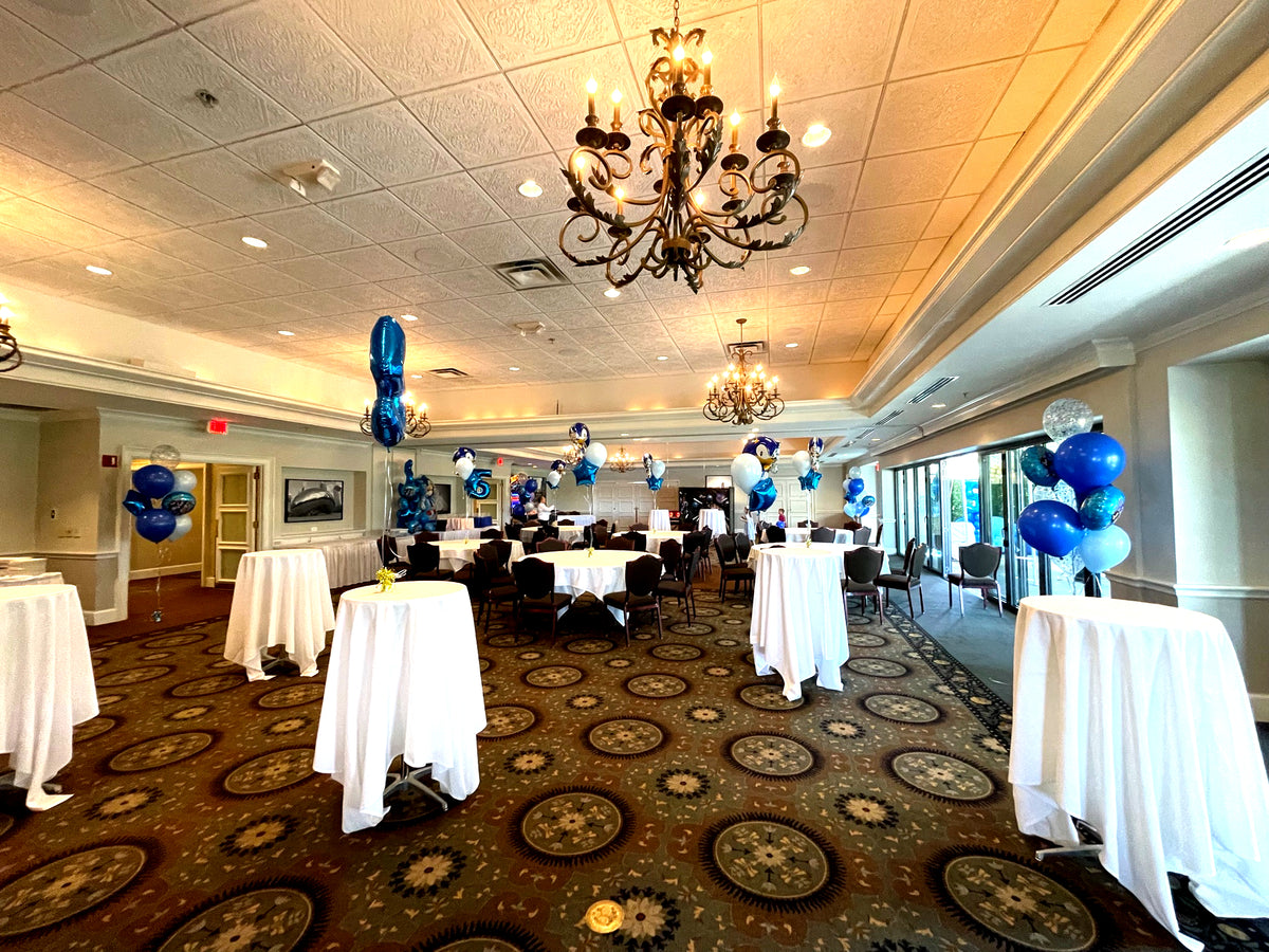 Sonic Themed Children's 5th Birthday Table Centerpieces, Photo Op, Bouquets