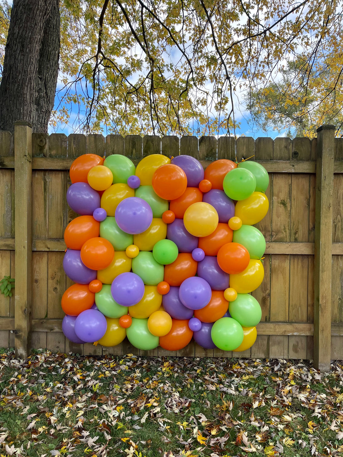 Halloween Balloon Wall