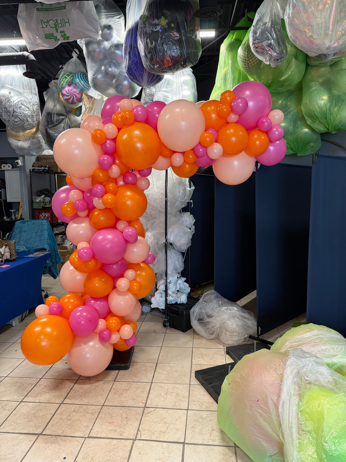 Demi Balloon Arch & Photoshoot 6x4