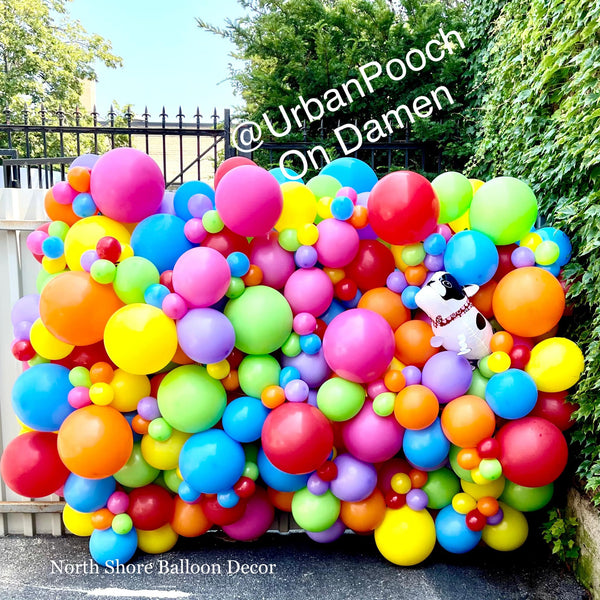 Urban Dog Corporate Event Balloon Wall & Backdrop