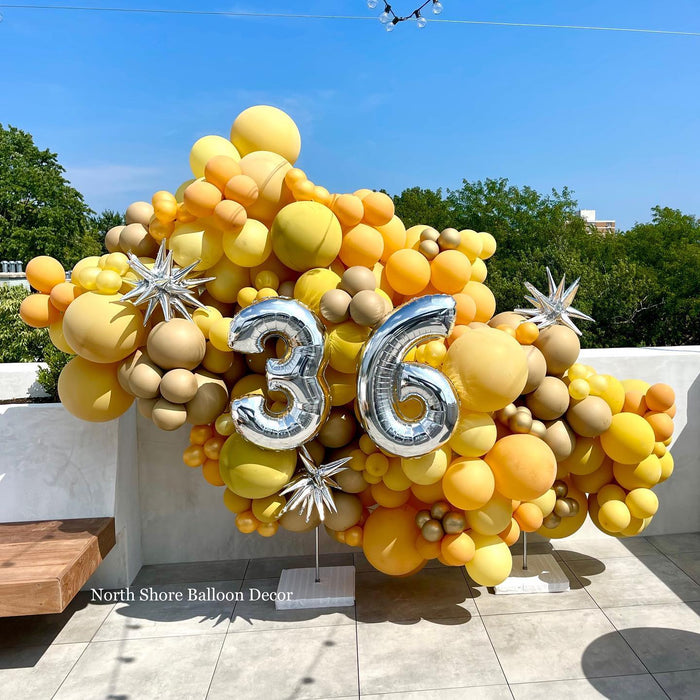 Sunshiney 36th Birthday Bash Backdrop with Numbers