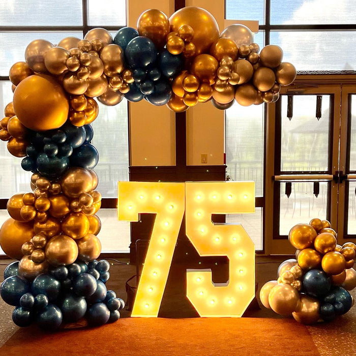 Reflective 75th Birthday Organic Garland & LED Number Display